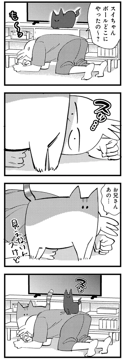 ボール捜索