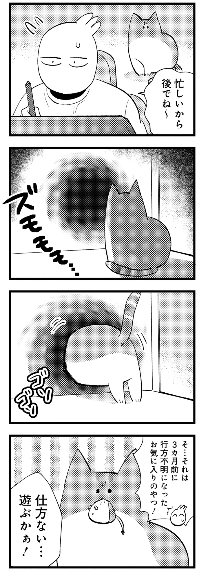 猫専用異次元ホール