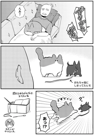 親分と子分