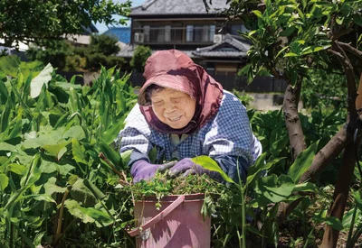 草に負けんよう頑張っとるよ