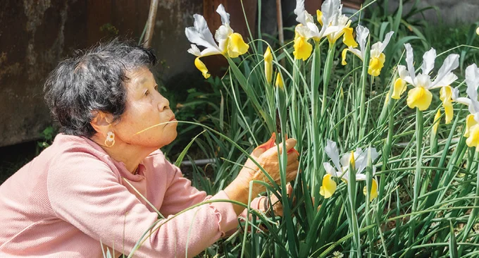 お墓や仏壇に供える花も庭で育てとるで、こまめに替えれるだ!