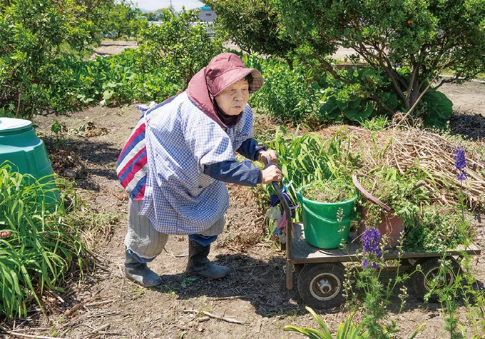 キレイに咲いとるお花がふと目に入ると嬉しくなって、つい話しかけるだわ