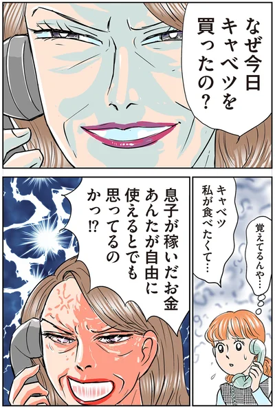 なぜ今日キャベツを買ったの？