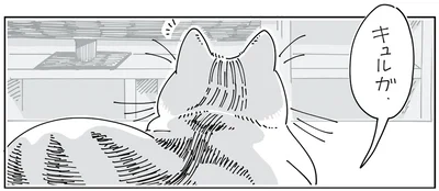名前を呼んでみる