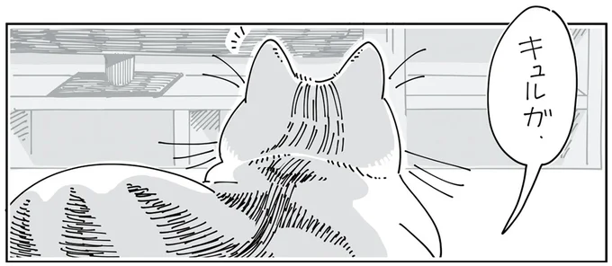 名前を呼んでみる