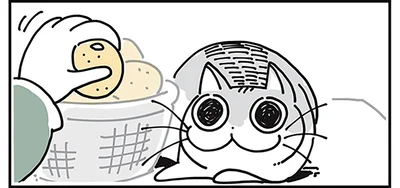 みかんを手に取ると