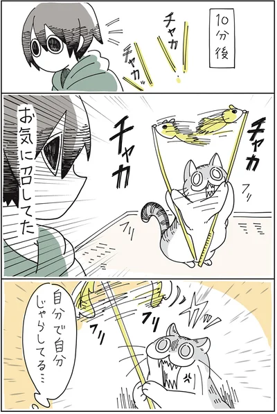 お気に召してた