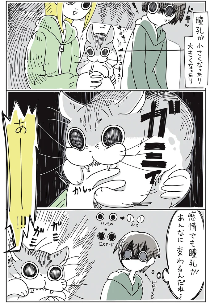 感情でも