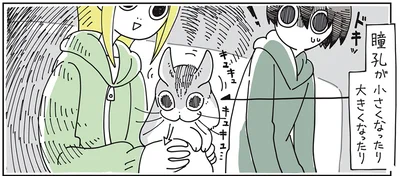 瞳孔が小さくなったり大きくなったり