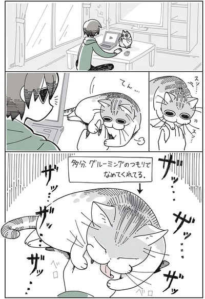 グルーミングのつもりで