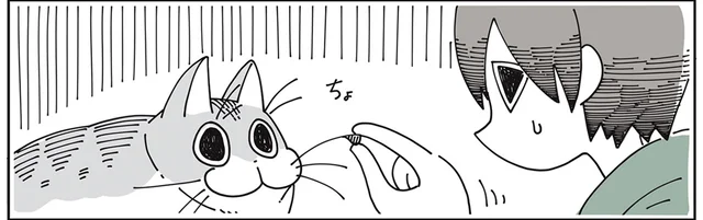 そっとやれば怒られない？ 猫のヒゲについたゴミをなんとか取りたくて