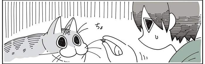 そっとやれば怒られない？ 猫のヒゲについたゴミをなんとか取りたくて