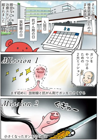 綿密な治療スケジュールが組まれました