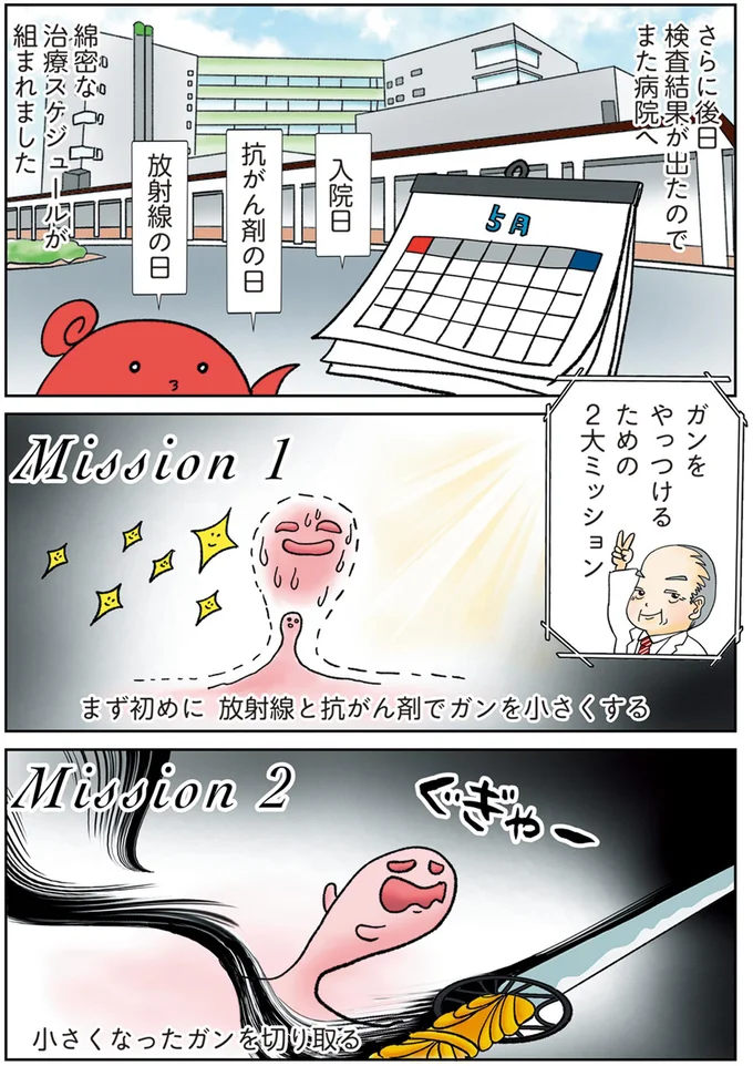 綿密な治療スケジュールが組まれました