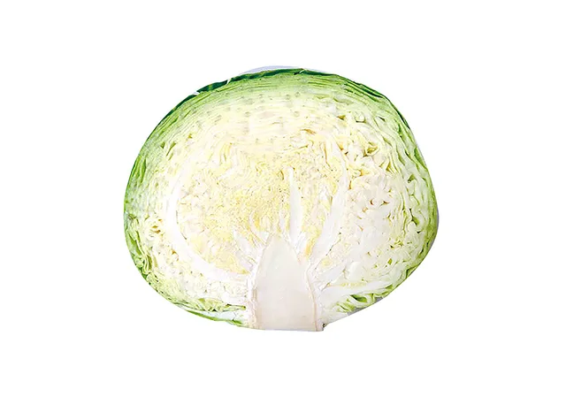農家だから知っている！おいしい「キャベツ」の選び方と食べ方【世界一使える野菜の教科書】
