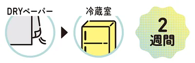 キャベツの保存法