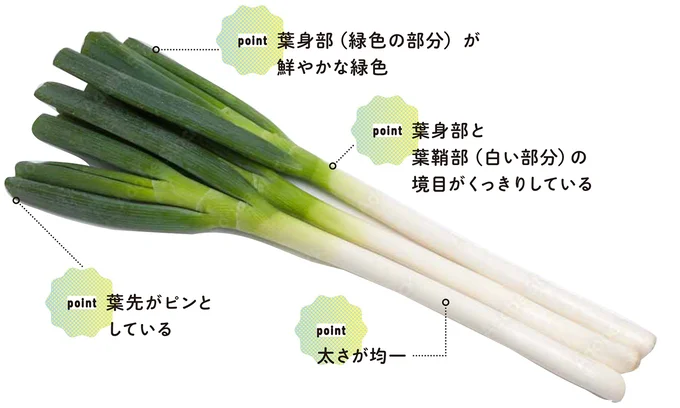 『農家が教えたい-世界一使える野菜の教科書』より