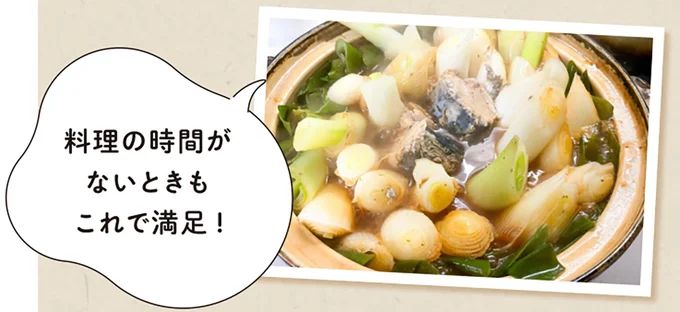 『農家が教えたい-世界一使える野菜の教科書』より