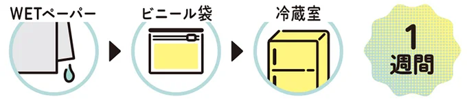 『農家が教えたい-世界一使える野菜の教科書』より