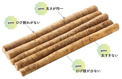 『農家が教えたい-世界一使える野菜の教科書』より