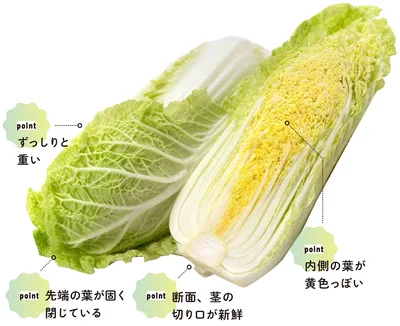 『農家が教えたい-世界一使える野菜の教科書』より