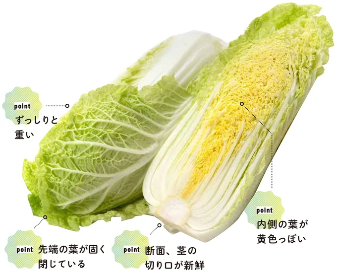 『農家が教えたい-世界一使える野菜の教科書』より