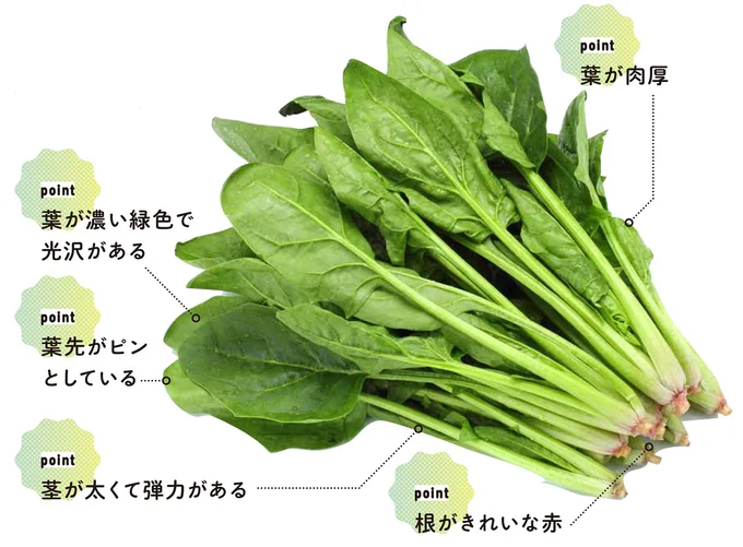 『農家が教えたい-世界一使える野菜の教科書』より
