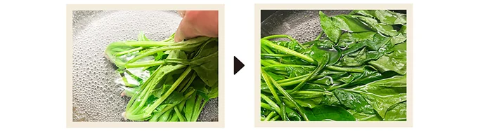 『農家が教えたい-世界一使える野菜の教科書』より