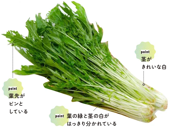『農家が教えたい-世界一使える野菜の教科書』より