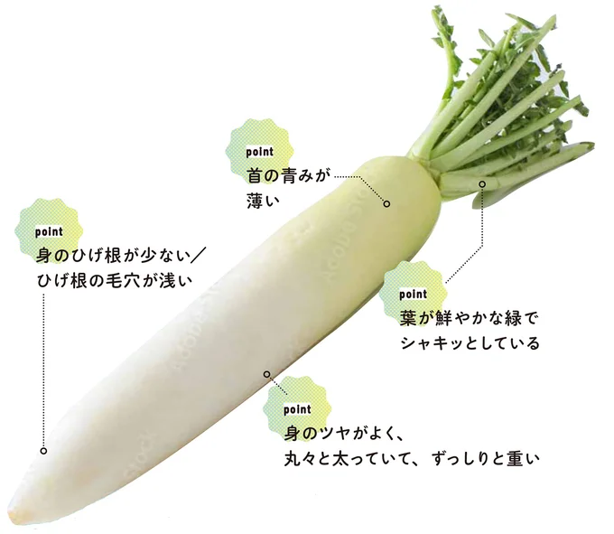 『農家が教えたい-世界一使える野菜の教科書』より