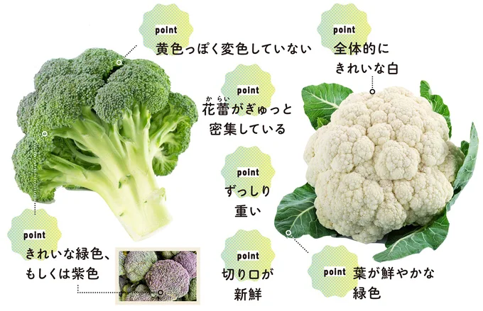 『農家が教えたい-世界一使える野菜の教科書』より