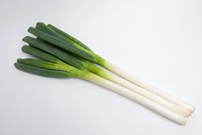 とろっと甘くて香ばしいグリル焼きがおすすめ！農家が教える冬の旬野菜「長ねぎ」のおいしい食べ方【世界一使える野菜の教科書】
