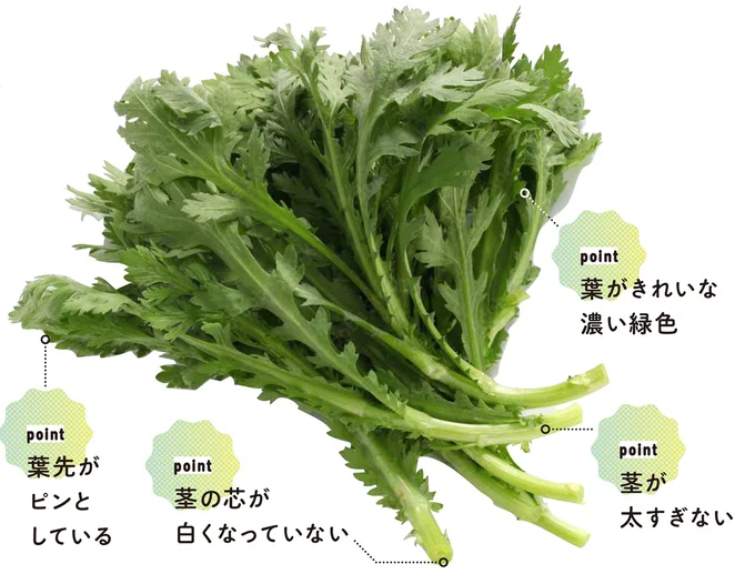 春菊を選ぶpoint