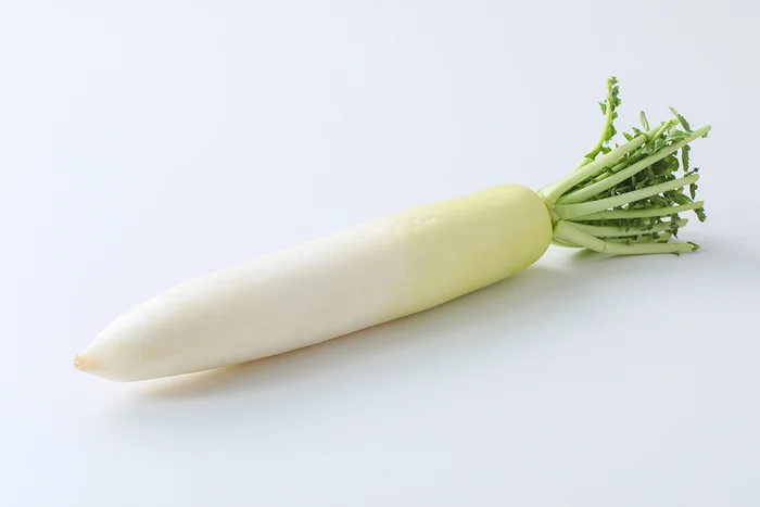 冬が旬の「大根」は、栄養価の高い葉も常備菜に！プロが教える食べ方【世界一使える野菜の教科書】
