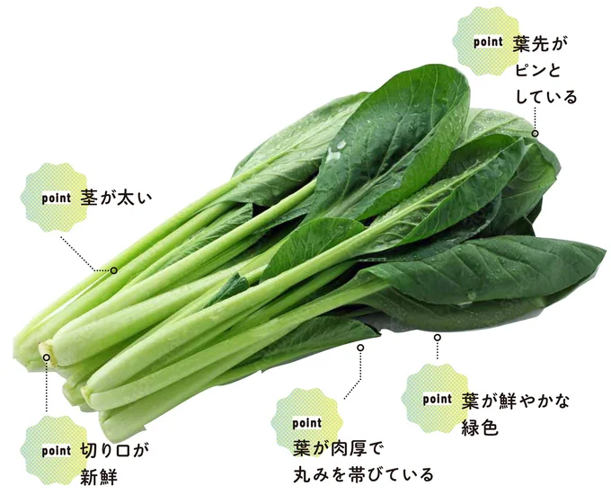 小松菜の選ぶpoint