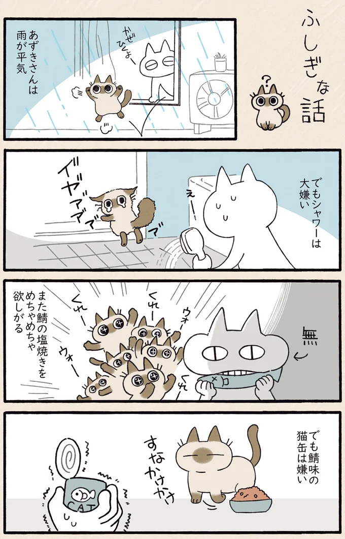 雨が平気でも…