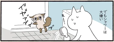 シャワーは大嫌い