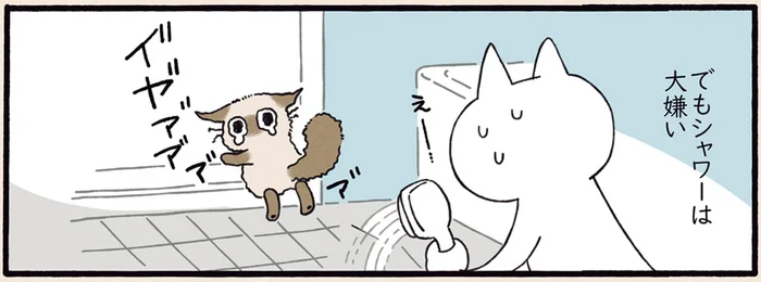鯖は好きでも「鯖味」は嫌い？ 愛猫の好き嫌いが難しい