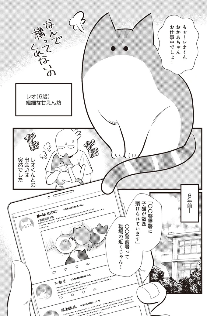 レオくんとの出会いは6年前