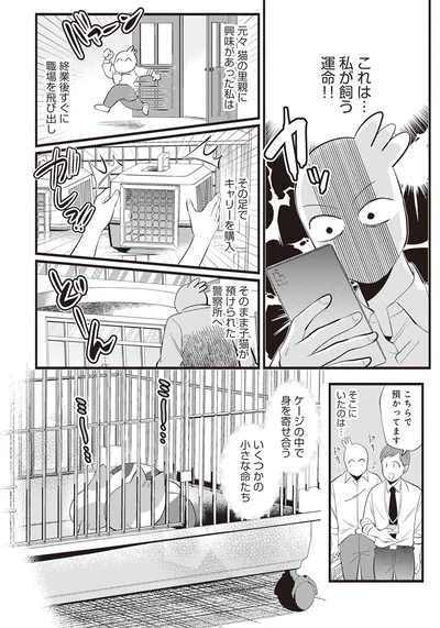 これは…私が飼う運命！！