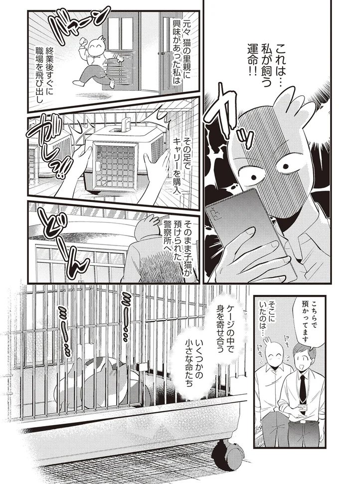 これは…私が飼う運命！！