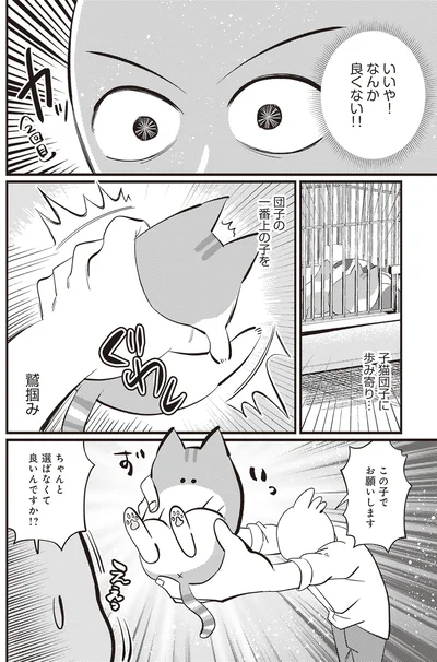 子猫団子に歩み寄り…