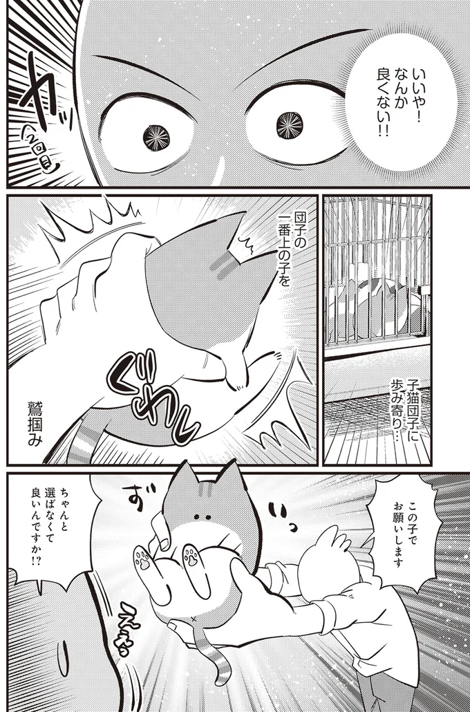 子猫団子に歩み寄り…