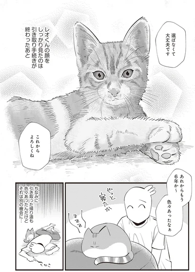 これからよろしくね