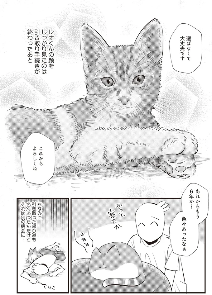 これからよろしくね