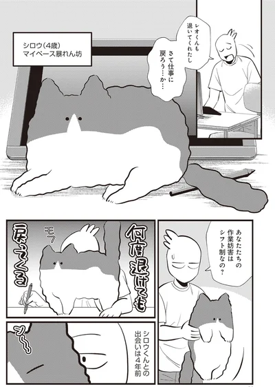 あななたちの作業妨害はシフト制なの？