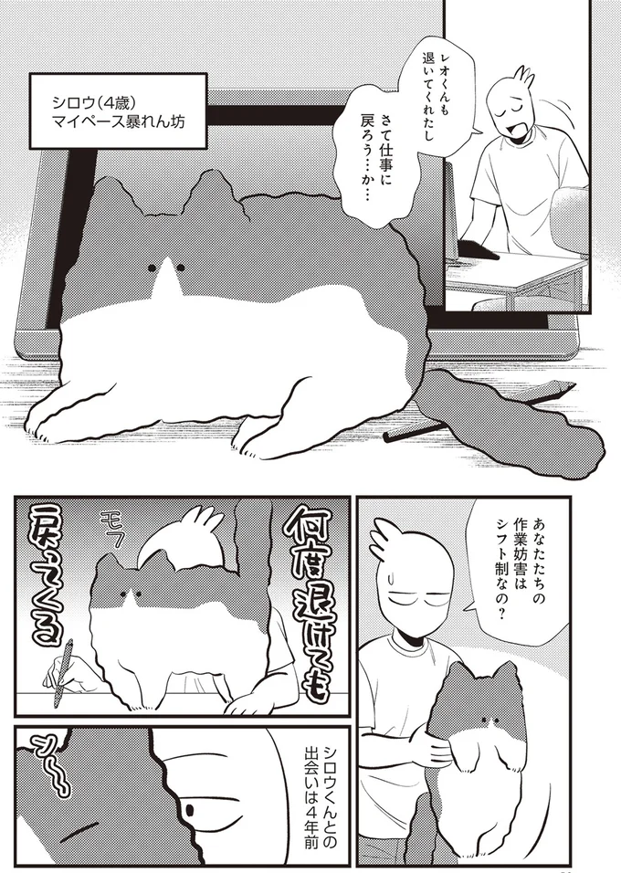 あななたちの作業妨害はシフト制なの？