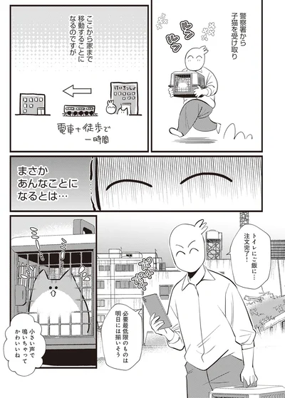 『レオとシロウのドタバタ猫日記』より