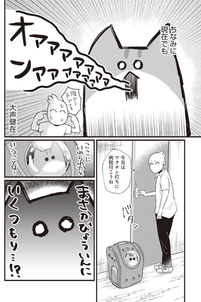 『レオとシロウのドタバタ猫日記』より