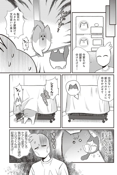 『レオとシロウのドタバタ猫日記』より